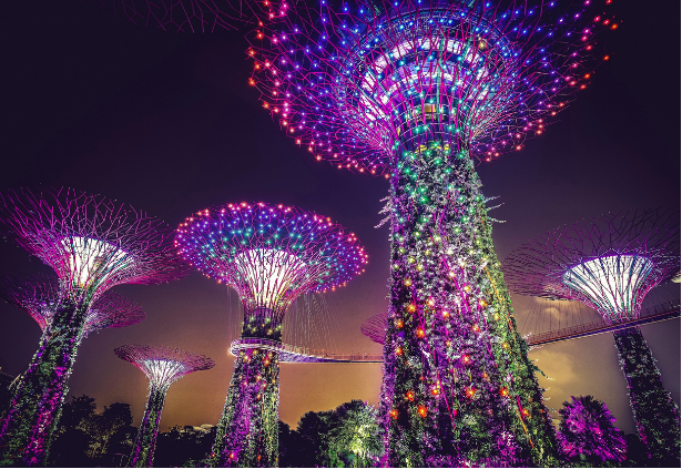 Singapore: A Taste of the Lion City
