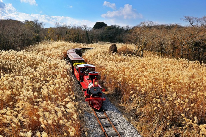 South Korea: Four Seasons of Jeju (Autumn)