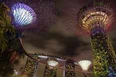 Singapore: City Discovery