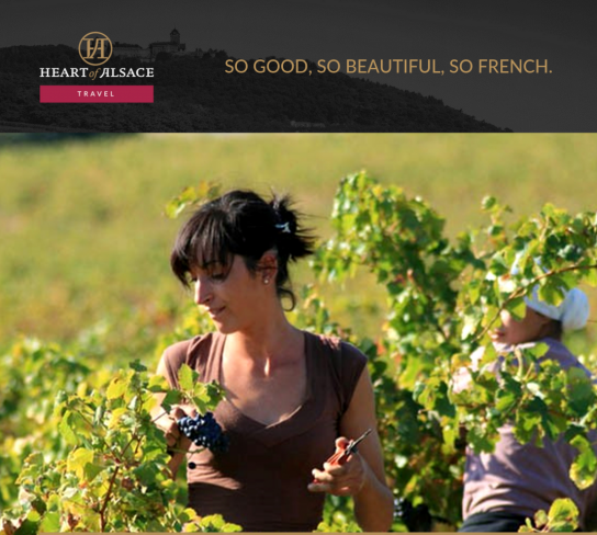 France: Wine Harvest Tour
